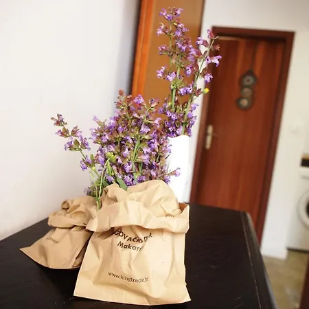 Vela Apartment